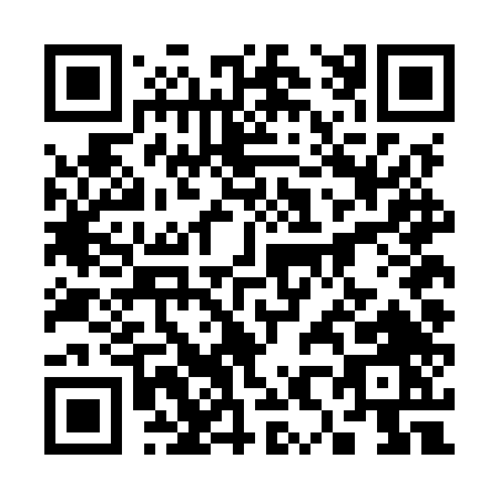 QR code for 384MT