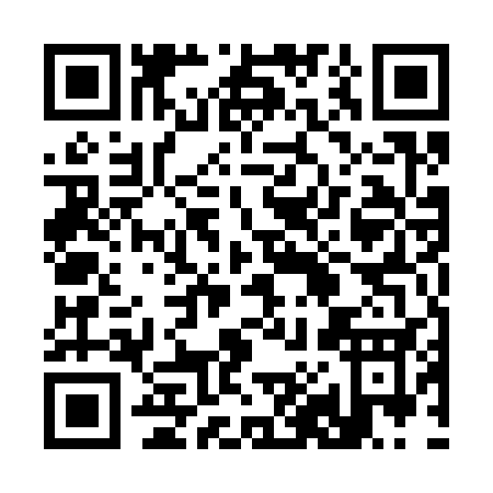 QR code for 38533