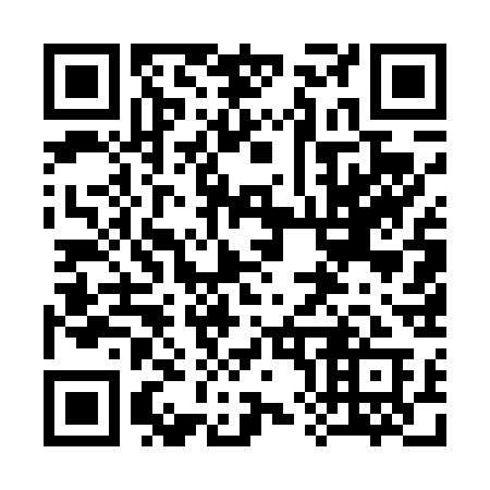 QR code for 38543A