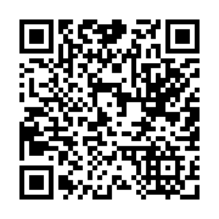 QR code for 38597G