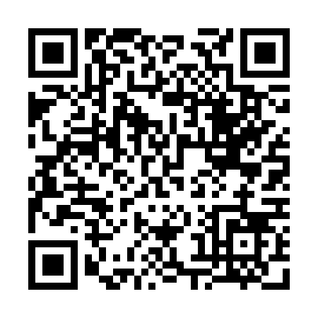 QR code for 3863V