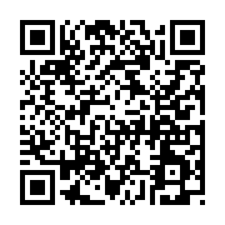 QR code for 38658