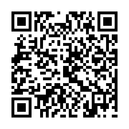 QR code for plate 3-87300