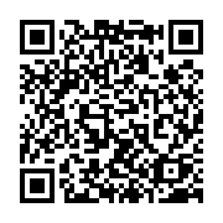 QR code for 38753Q