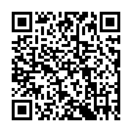 QR code for 3878Z
