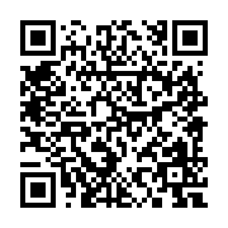 QR code for 38869