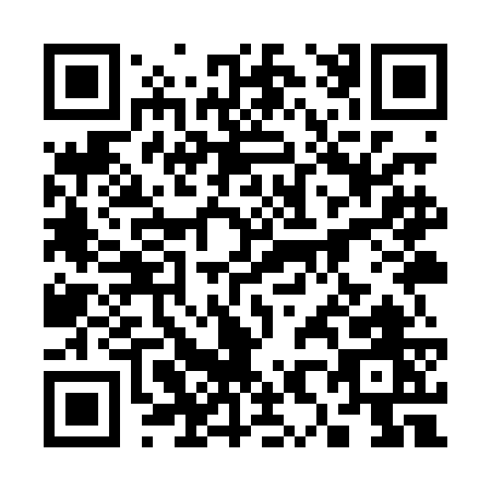 QR code for 389PG