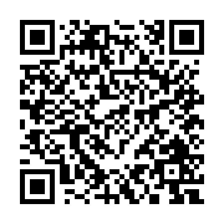 QR code for 390EV