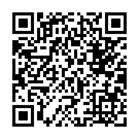 QR code for 390XX
