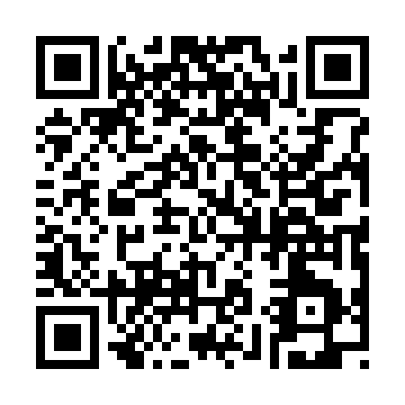 QR code for plate 3-9137