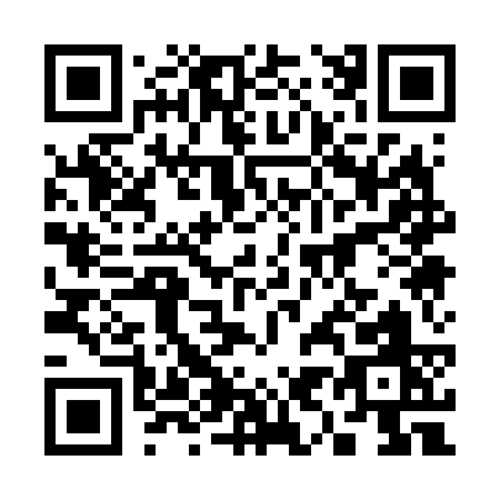 QR code for plate 3-9163