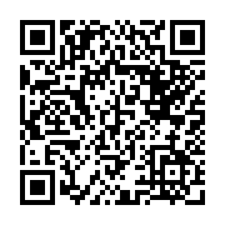 QR code for plate 3-9333