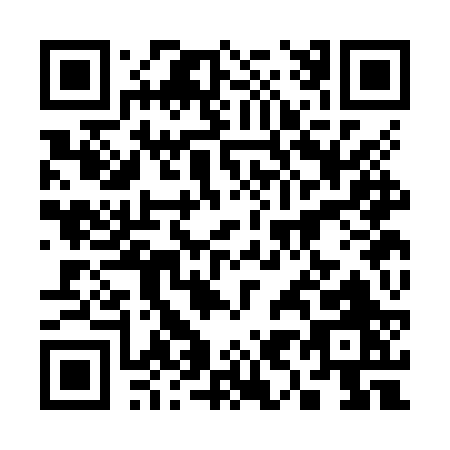 QR code for 393JR