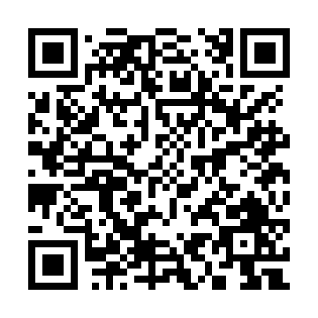 QR code for 393NF