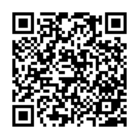QR code for 394PI