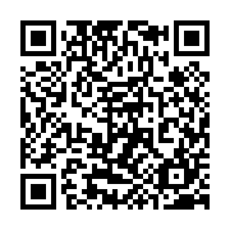 QR code for plate 3-95004