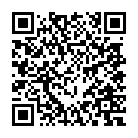 QR code for plate 3-9507
