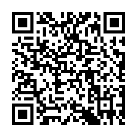 QR code for plate 3-95CZ