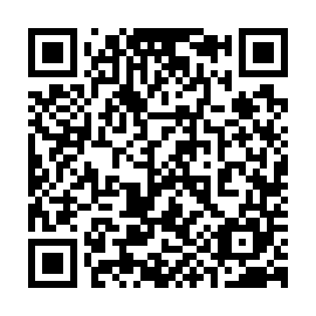 QR code for plate 3-96745