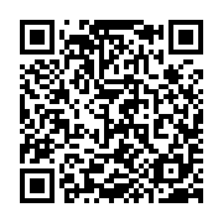 QR code for plate 3-96995
