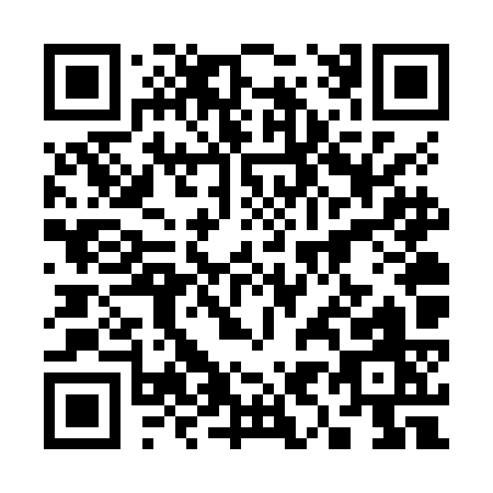 QR code for plate 3-96ZK