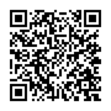QR code for 398XJ