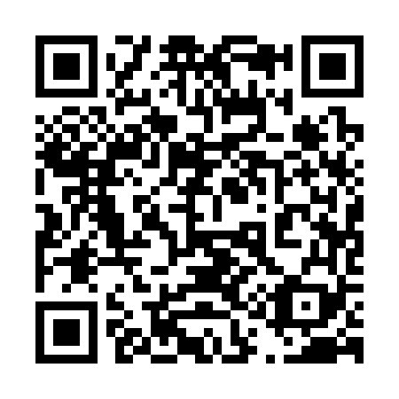 QR code for 4-11369