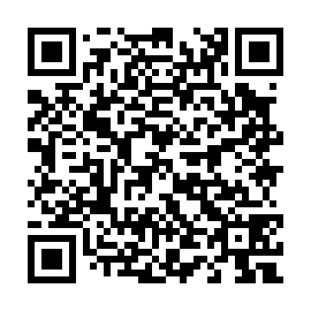 QR code for 4-49078