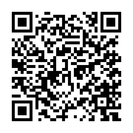 QR code for plate 4-17LM