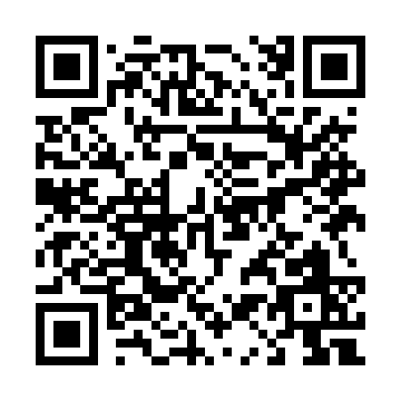 QR code for 419DS