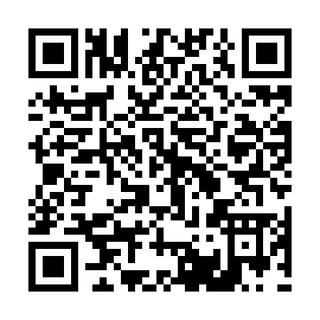 QR code for 419YM