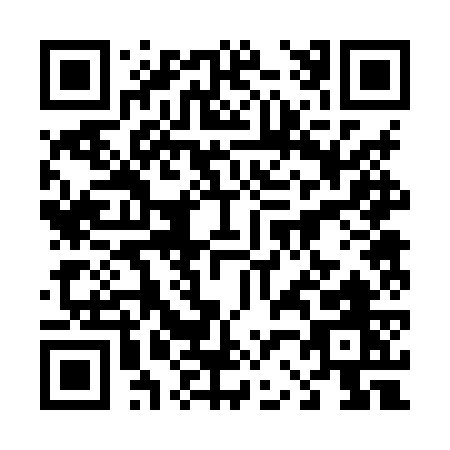 QR code for plate 4-228W