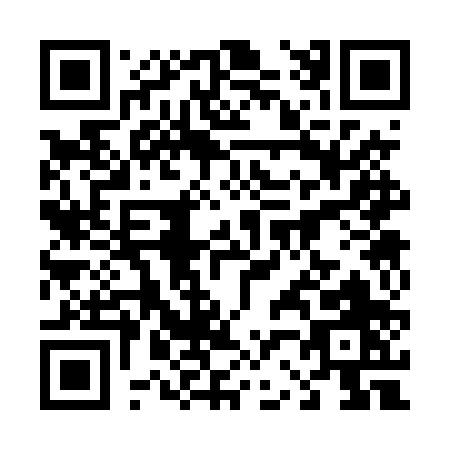 QR code for 4234P