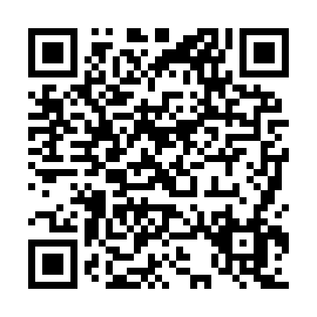 QR code for plate 4-389V