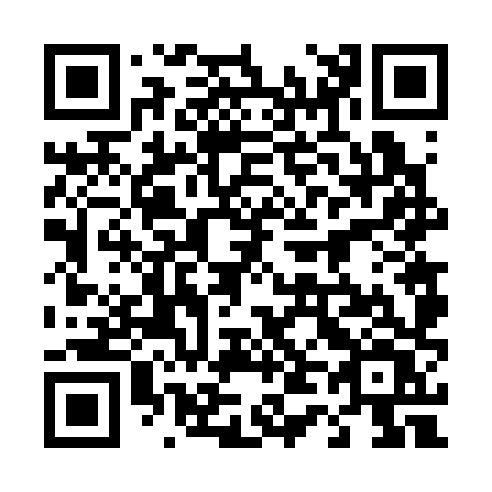 QR code for plate 4-4638V