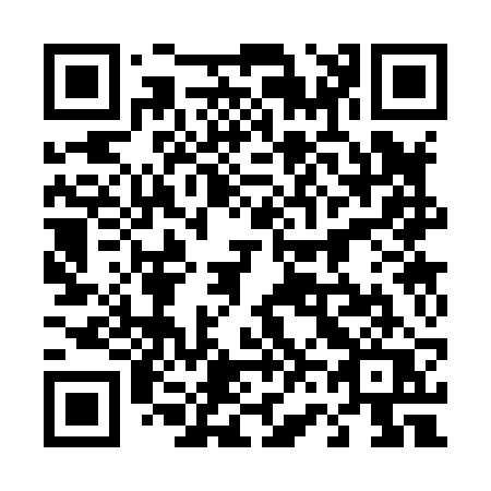 QR code for plate 4-6382Q