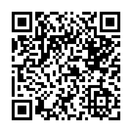 QR code for 46825
