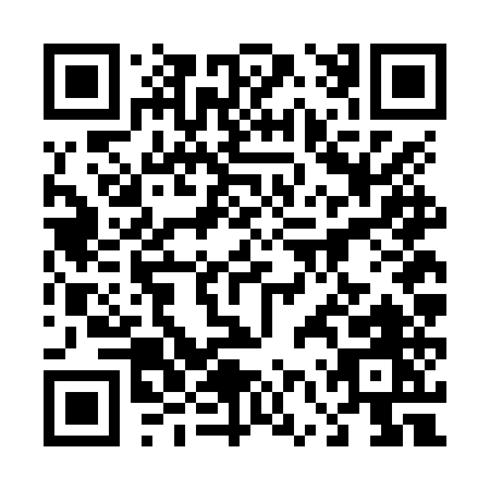 QR code for plate 4-6VNU