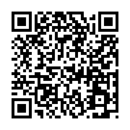QR code for plate 4-728V