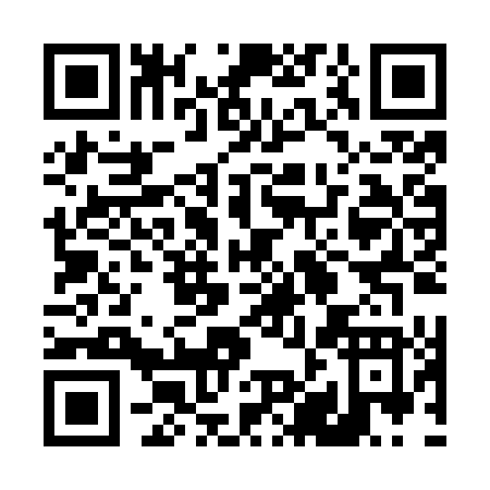 QR code for plate 4-8HOT