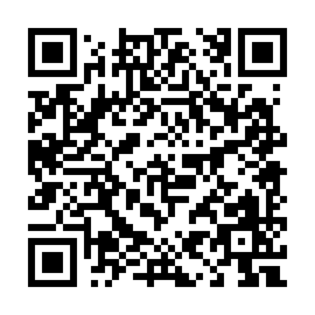 QR code for 49029
