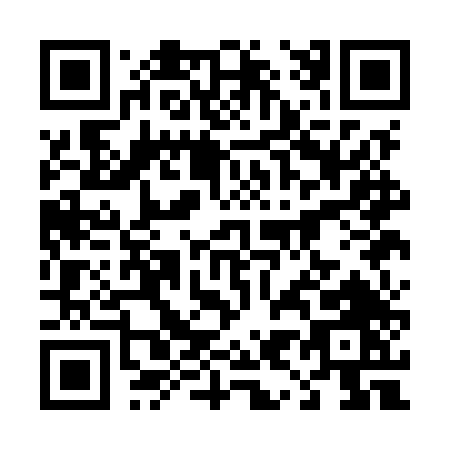QR code for 491MT
