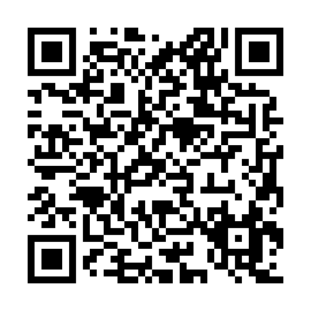 QR code for 49383