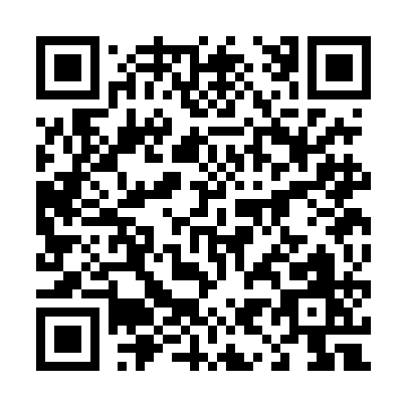 QR code for 493DA