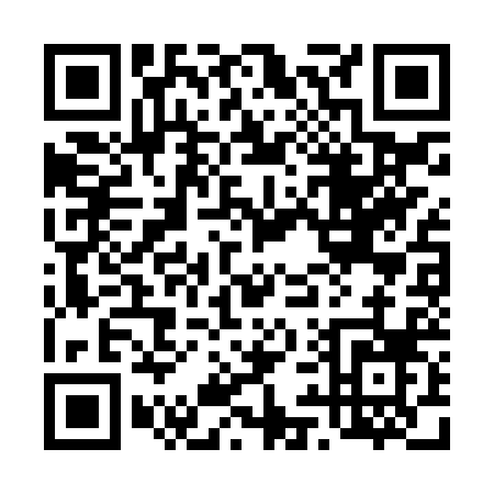 QR code for 493JR