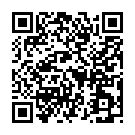 QR code for 493US