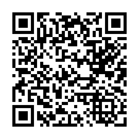 QR code for 498393