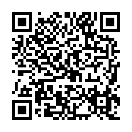 QR code for 50993