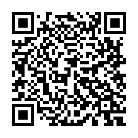 QR code for 51290N