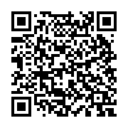 QR code for 53220P
